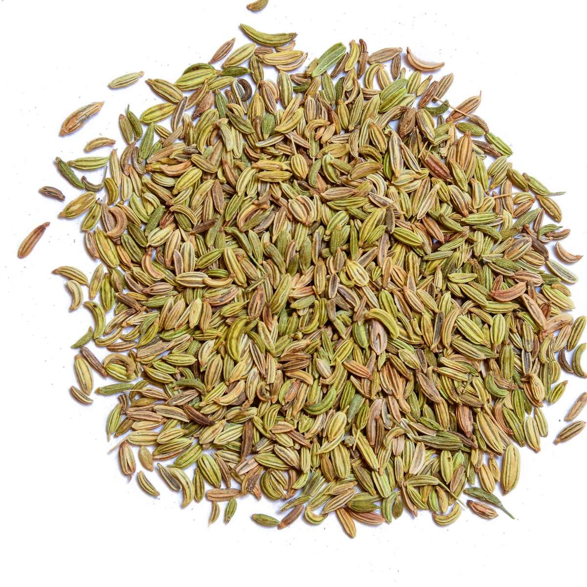 Fennel Seeds NZ | Fennel Herbs | Indian Spices SHowing nice big heap of the fennel seed