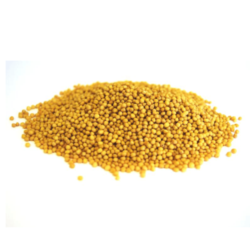 Mustard Seeds | Yellow Mustard | Whole Seeds showing a heap of Seeds