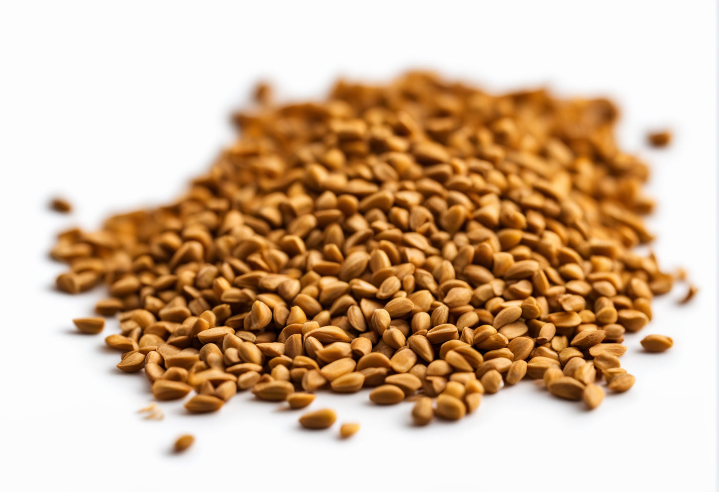 Premium Organics Fenugreek Seeds 100% Certified