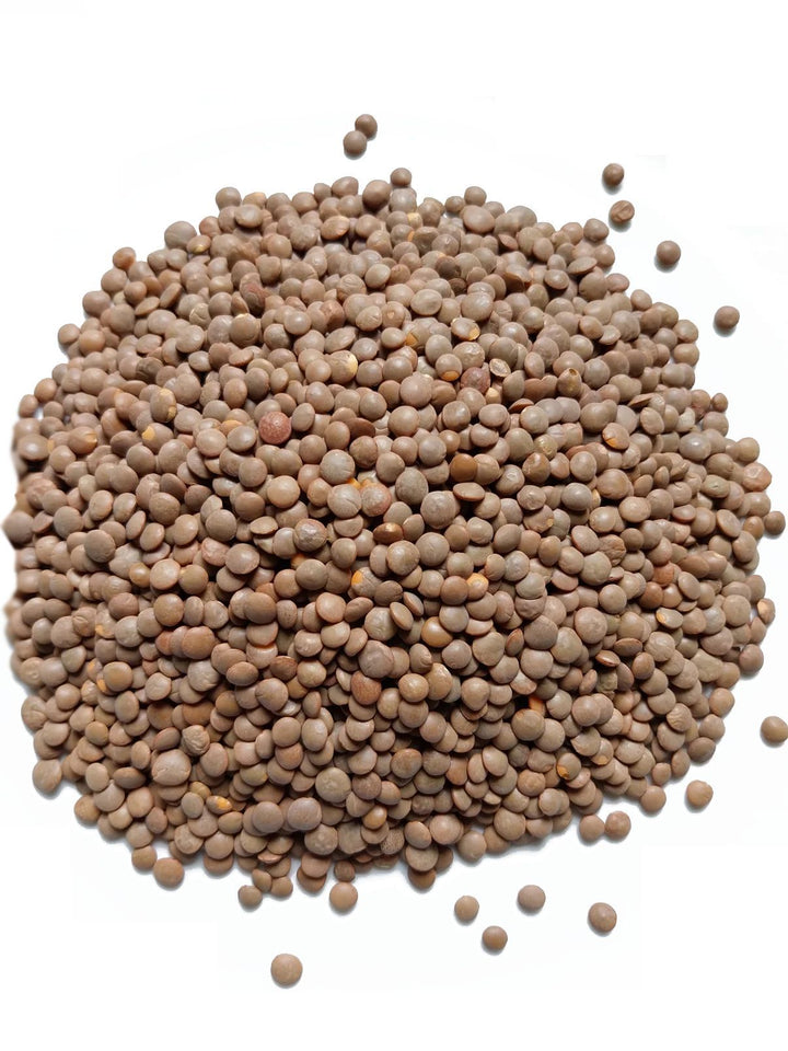 Premium Organic Brown Lentils | 100% Certified Organic