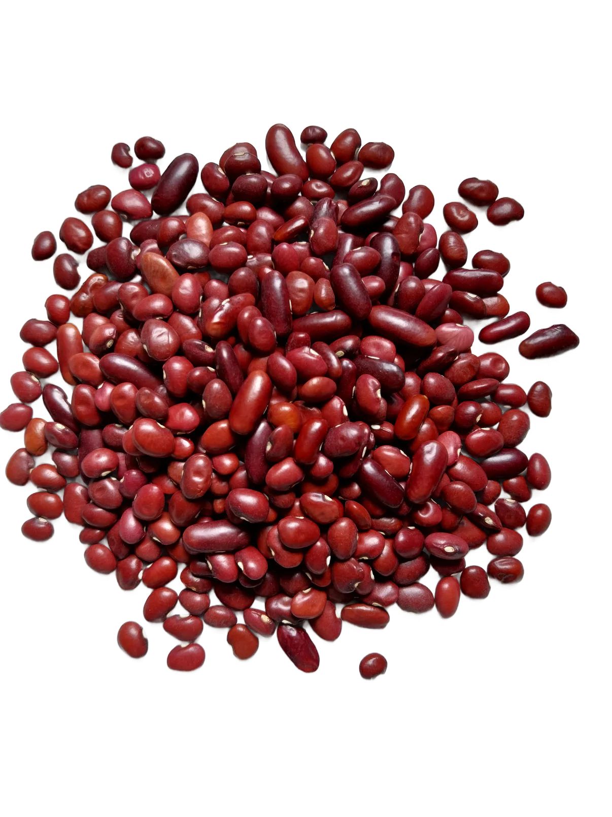 Premium Organics Red Kidney Beans (long) 100% Certified Organic