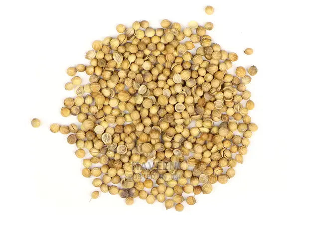 Premium Coriander Seeds