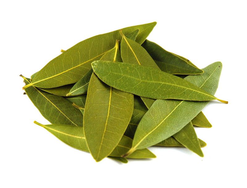 "Premium Bay Leaves: Aromatic Herb for Flavorful Culinary Creations"