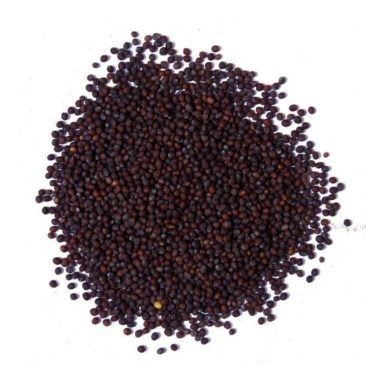 Mustard Seeds | Black Mustard | Organic Mustard Seeds