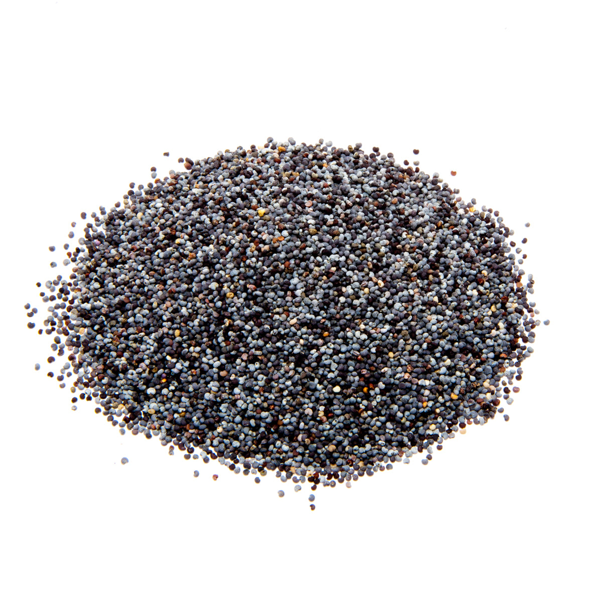 Premium Blue Poppy Seeds NZ, Best PRICE & QUALITY from Premium Spices, showing big heap
