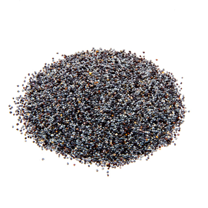 Premium Blue Poppy Seeds NZ, Best PRICE & QUALITY from Premium Spices, showing big heap